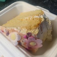 Beautiful sponge cake at The Green Kitchen in Newport