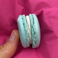 Vanilla  at Smaakaron in Groningen