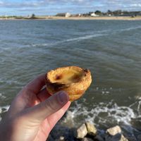   at Vegan Nata - Chiado in Lisbon