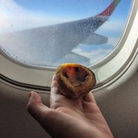 Good breakfast on the plane back at Vegan Nata - Chiado in Lisbon