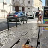  at Vegan Nata - Chiado in Lisbon