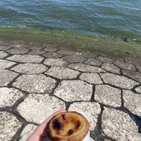   at Vegan Nata - Chiado in Lisbon