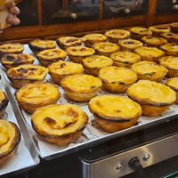  at Vegan Nata - Chiado in Lisbon