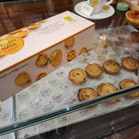 Nata's inside at Vegan Nata - Chiado in Lisbon