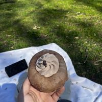 Tiramisu donut! (Seasonal flavour)  at La Beignerie in Montreal