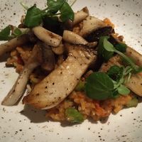 Seared mushrooms with tomato risotto (modified vegan but vegetarian as-is) at Roy's in Lahaina