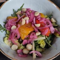  at Wijnhaven in Delft