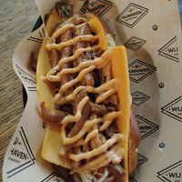 Vegan dog at Wijnhaven in Delft