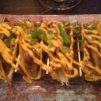 Vegan taco's with pulled oyster mushrooms at Wijnhaven in Delft