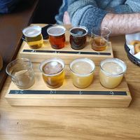 Tasting paddle! Vegan beers! at Beech Tree Craft Beer in Queenstown