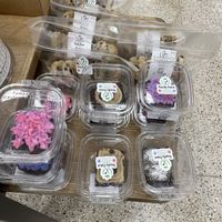   at Royally Baked in St Peters