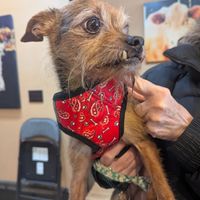 You can bring your companion animal into the store! They have a lending library for them called Paws & Claws.  at Ethique Nouveau in Minneapolis