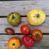 Nice assortment of local vegetables at Demain - L'épicerie in Spa