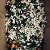   at ZED Eats And Drinks in Brooklyn