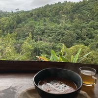   at The Botanist in Banjar