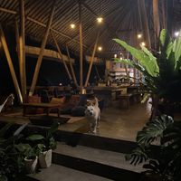   at The Botanist in Banjar