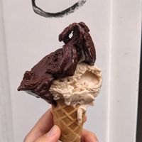 Both vegan : Dark chocolate - Hazelnut at Massimo Gelato - Hanzenstraat in Amsterdam