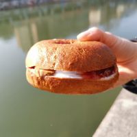 Peanut Butter Bagel at Budapest Bagel in Vienna