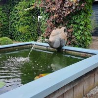  at De Theefabriek in Houwerzijl