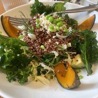 Quinoa saladd  at Vegegood 素来很好 in Shanghai