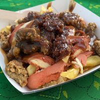 Loaded gravy fries at Huns in Leicester