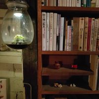 old magazines art books at Manoma in Fukuoka