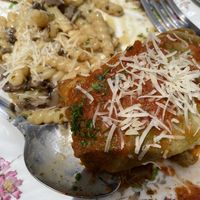 Vegan mushroom pasta dish and stuffed cabbage dish  at Sonoma Wine Shop - La Bodega in Sebastopol