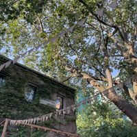 Innenhof  at Mala in Leipzig