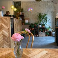 Las  at Las in Zakopane