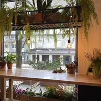 Las  at Las in Zakopane