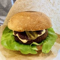 Hamburger  at Las in Zakopane