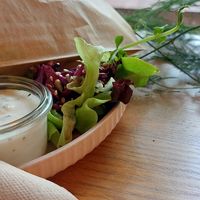 Hello friend at Las in Zakopane