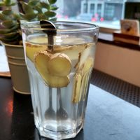 Ginger tea at Café Bosch in Arnhem