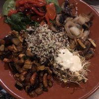   at The World Family in Finisterre