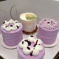 Blueberry chocolate and pumpkin baby cakes at Wholesome Bakery in San Francisco