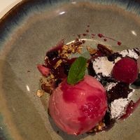 Vegan brownie dessert with sorbet  at Antichi Sapori in Basel