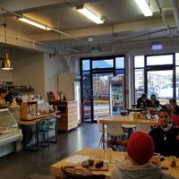 Café view at Wise Cicada Wholefood Cafe in Auckland