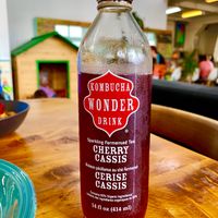 Best kombucha I have had  at Wise Cicada Wholefood Cafe in Auckland