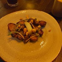  at Nozems in Den Helder