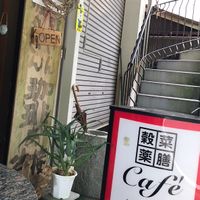   at Waira Tequila Ikora in Koya