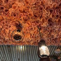 Flowering ceiling and walls inside the restaurant  at 50Nine in Luton
