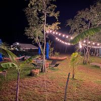 The lawn  at Kola in Koggala