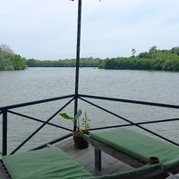 Sunbeds with a view at Kola in Koggala