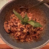 Shiitake Fried Ricee  at Monarch in Brooklyn