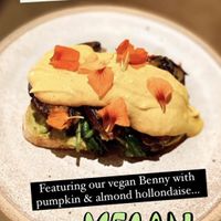 Vegan Benny at The Knox in Watson