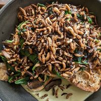  at The Knox in Watson