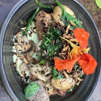 Mushroom on sourdough   at The Knox in Watson