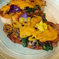 Vegan Benny at The Knox in Watson