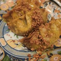 Vegan fried gyoza with mustard at Kakekomi Gyoza in Tokyo