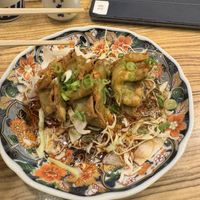 Vegan green Gyoza with you Lin spicy sauce   at Kakekomi Gyoza in Tokyo